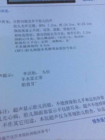 journal_insert_pic_705460570
