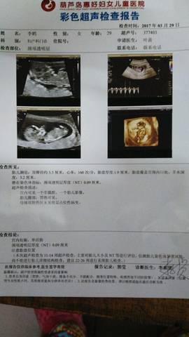 journal_insert_pic_706413513