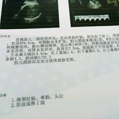 journal_insert_pic_706918870