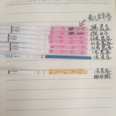 journal_insert_pic_706885774