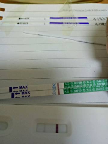 journal_insert_pic_707830283