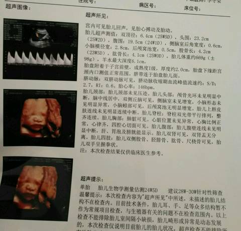 journal_insert_pic_707532998