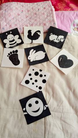 journal_insert_pic_709376664