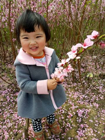 journal_insert_pic_709535795