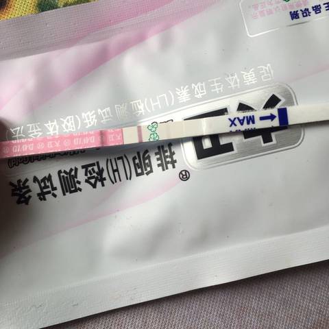 journal_insert_pic_709190583