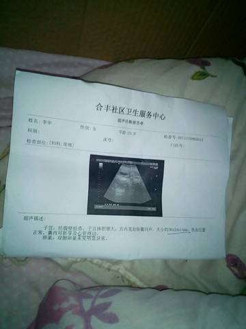 journal_insert_pic_710320310