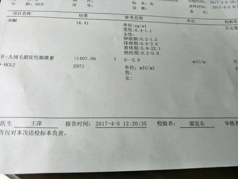journal_insert_pic_710297644
