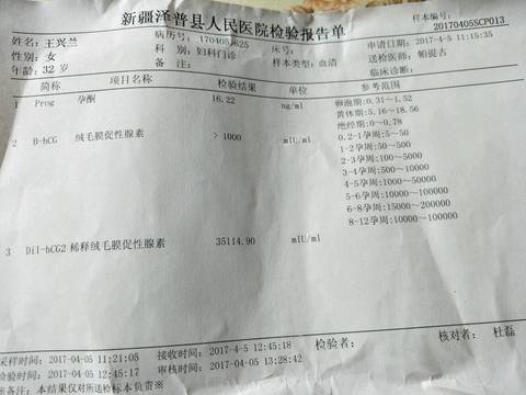 journal_insert_pic_710425454