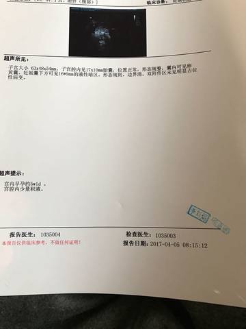 journal_insert_pic_710112844