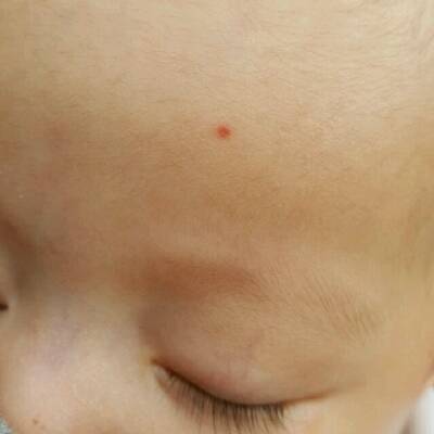 journal_insert_pic_710157255