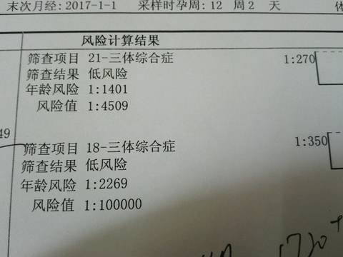 journal_insert_pic_710120901