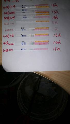 journal_insert_pic_710756244