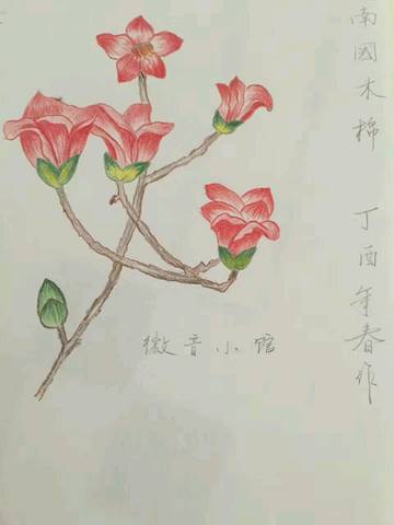 journal_insert_pic_711147410