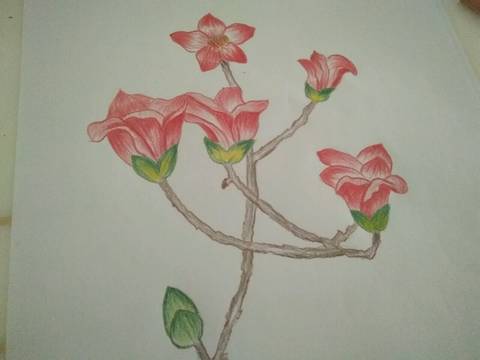 journal_insert_pic_711147395