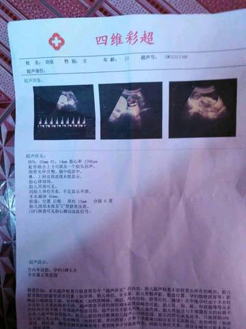 journal_insert_pic_711295792