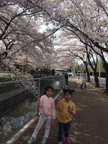 journal_insert_pic_711558091