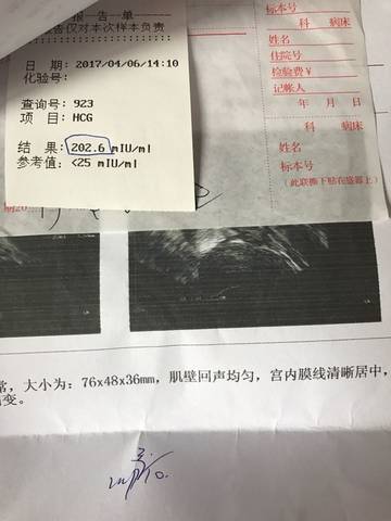 journal_insert_pic_711950308