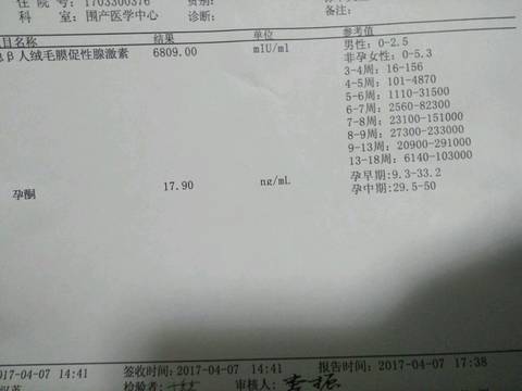 journal_insert_pic_712248178