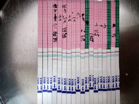 journal_insert_pic_711843402