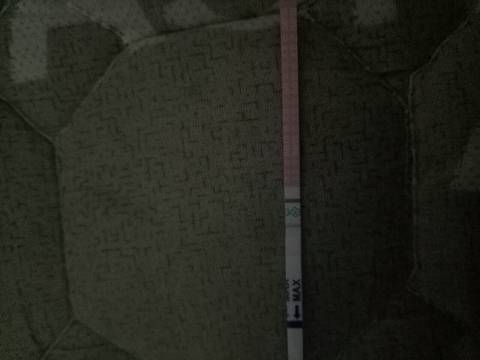journal_insert_pic_711720944