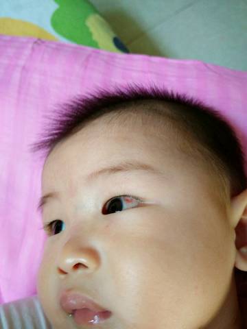 journal_insert_pic_712084323