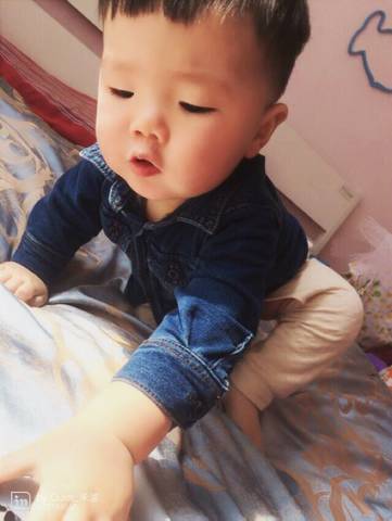 journal_insert_pic_712598244