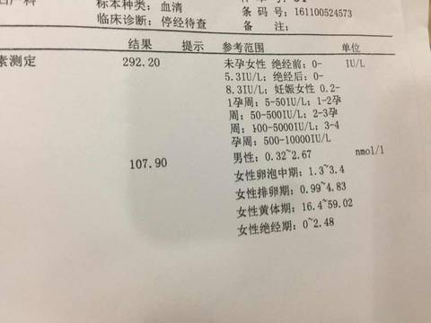 journal_insert_pic_712703086