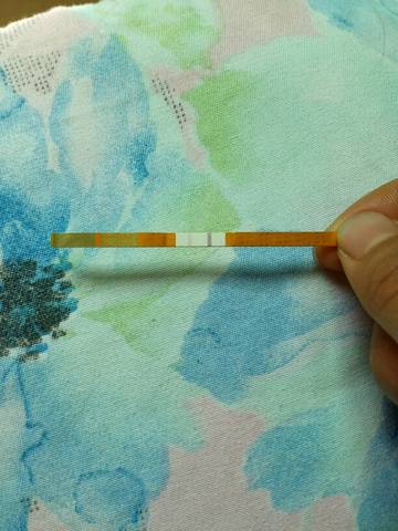 journal_insert_pic_713725943