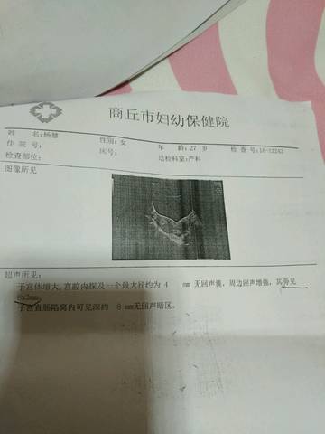 journal_insert_pic_714901539