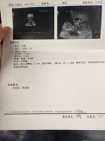 journal_insert_pic_715040353