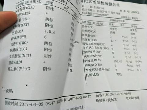 journal_insert_pic_714875173