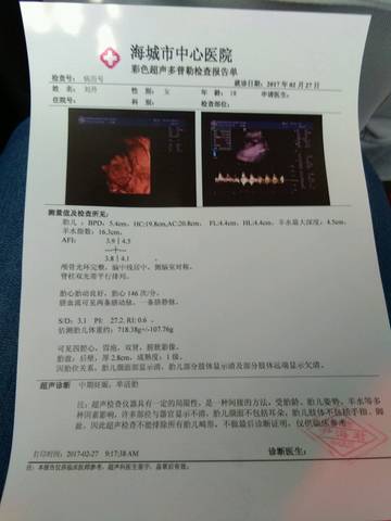 journal_insert_pic_715714515