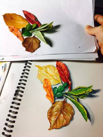 journal_insert_pic_715571899