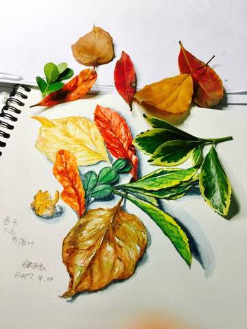 journal_insert_pic_715571917