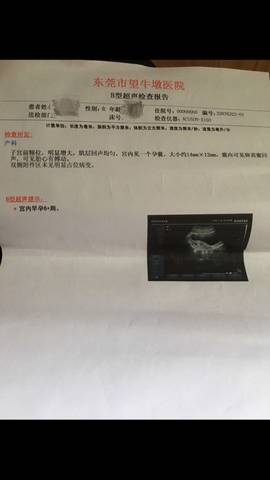 journal_insert_pic_715630146