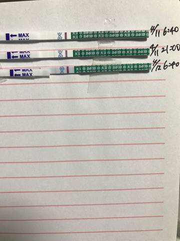 journal_insert_pic_716094737
