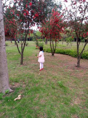 journal_insert_pic_716101108