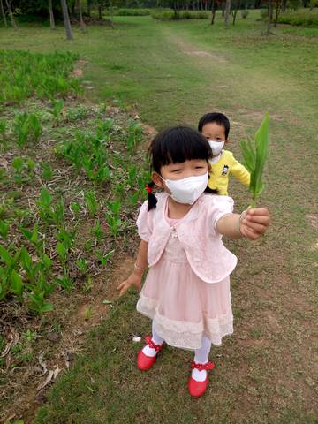 journal_insert_pic_716101249