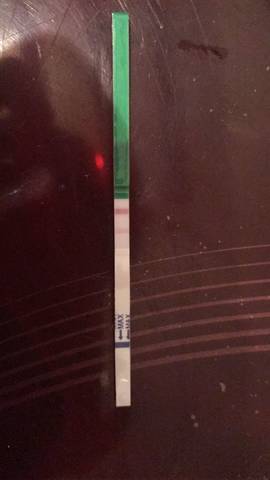 journal_insert_pic_717419887