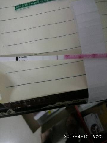 journal_insert_pic_717342839