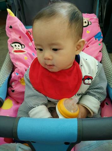 journal_insert_pic_717211275