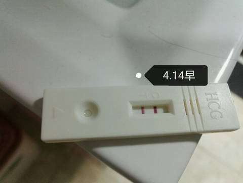 journal_insert_pic_717750045