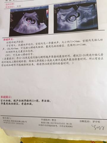 journal_insert_pic_718538268