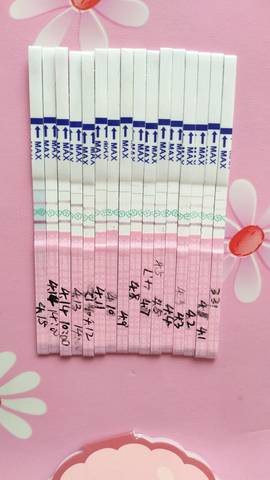 journal_insert_pic_718637331