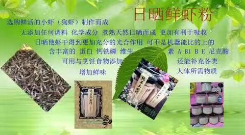 journal_insert_pic_719936415