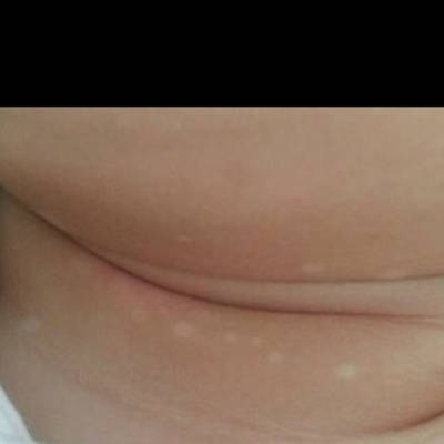 journal_insert_pic_719327420