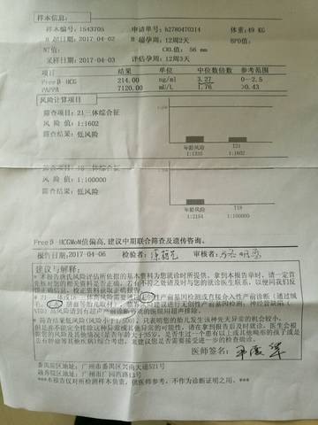journal_insert_pic_719611040