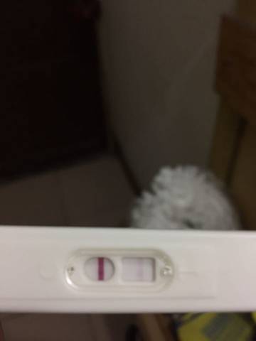 journal_insert_pic_719226243