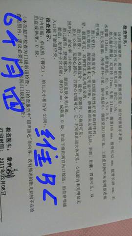 journal_insert_pic_720597444