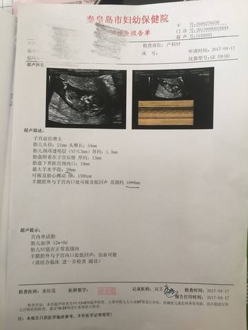 journal_insert_pic_720308623